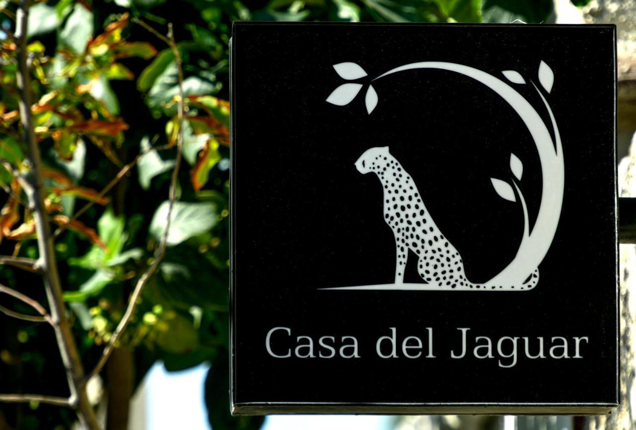 Casa del Jaguar Beach Hotel Isla Mujeres Exterior foto